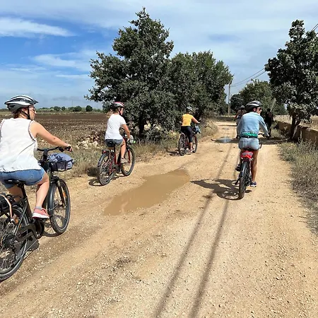 Via Roma Bed & Breakfast