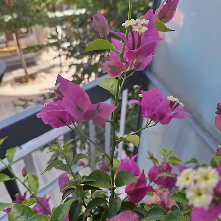 Via Roma Gioia Del Colle