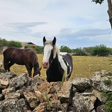 Frühstückspension Via Roma Gioia Del Colle